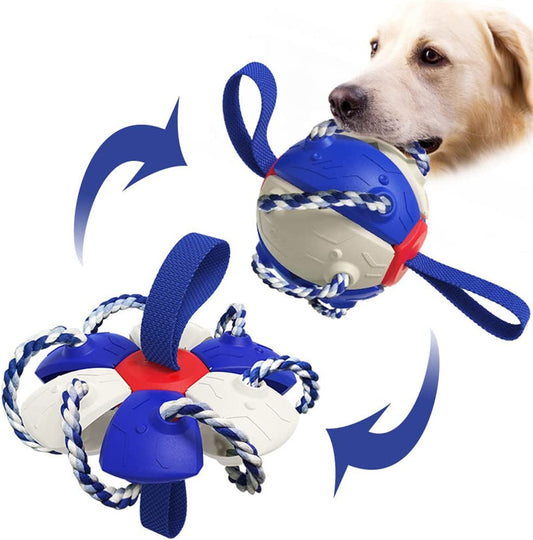 Frisbee Ball Dog Toy