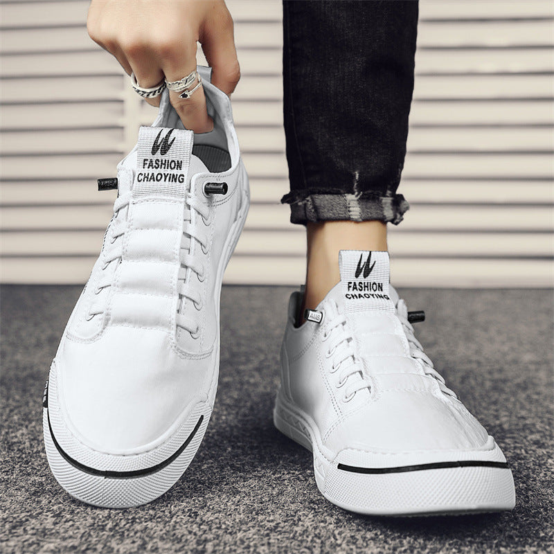 Men's Canvas Shoes