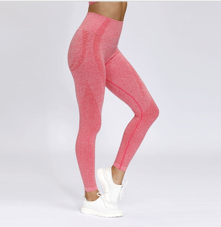 High Waist Sports Tights