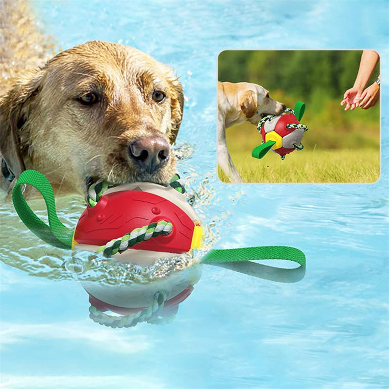 Frisbee Ball Dog Toy