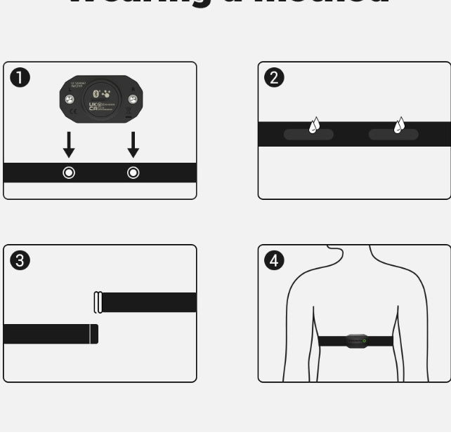 Chest Strap Bicycle Heart Rate Motion Monitor