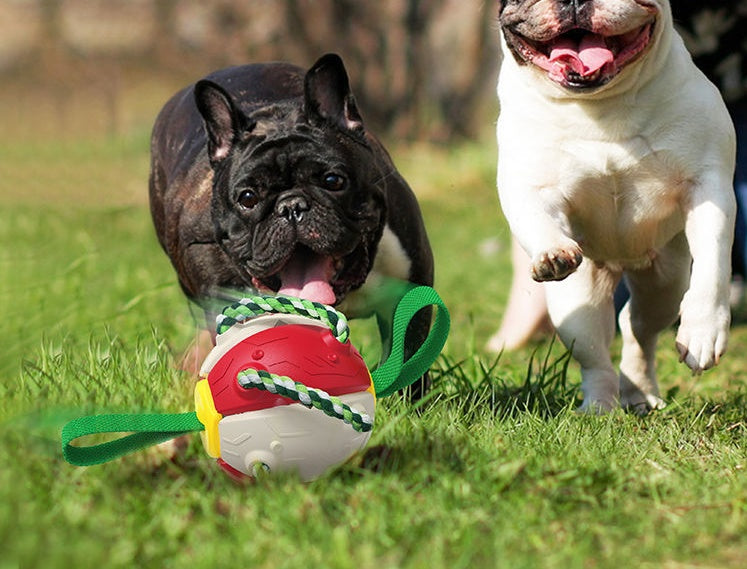 Frisbee Ball Dog Toy